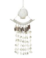 11538 - Irish Deep & Bowed Driftwood w/ Placuna & Ark Shells Hanger 10x19"