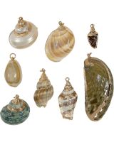 1600L - Gold Trimmed Shell Pendant