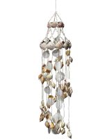 1853 - Canarium & Amusium Chime 8x30"