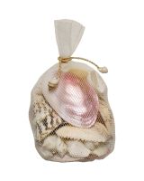 2005 - Asst Polished Shells in White Plastic Net 7×4"