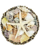 2030 - Starfish & Shells Round Botay Pack 6"