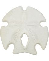 3074 - Mexican Arrowhead Sand Dollar 3-4"