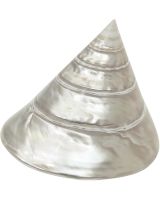 3255L - Commercial Trochus Pearled 3.5-4"