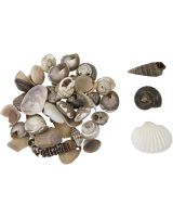 3262T - Tiny Indian Shell Mix Up to .25" (kilo)