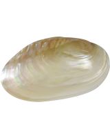 3282XL - Fresh Water Clam Pearled 8-9"