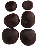 3344 - Sea Bean 1.5-2"