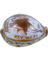 3358 - Carved Cowrie "KEY WEST"