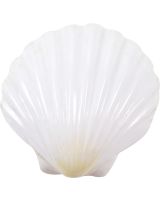 3437 - Irish Deep Scallop Polished 3-5"