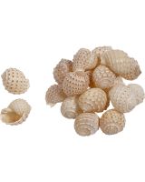 3543 - Mosaic Tonna Up to 1.5"