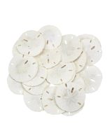 35912 - Round Sand Dollar 1.5-1.75"