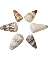 3612S - Cones Asst. 2-3"