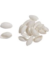 3680 - White Bubble Snail 1" (gallon)