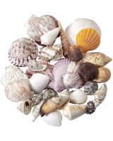 3701K - Philippine Mix 50 Kilo Sack (USE 3701)