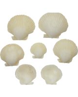 3821 - Pixie Cup Scallop Antique White 1.25-2.25 Deep (kilo)