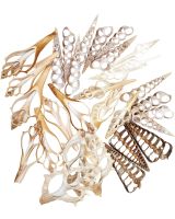 3889 - Assorted Center Cut Shells 3-4"