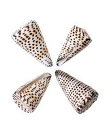 3969S - Lettered Cone 2-3"