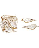 3986 - Indian Tibia Center Cut Shell 4-5"