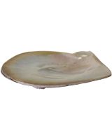 4702 - Silverlip Pearl Oyster 5-6" Dish w/ Clam Legs