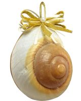 6016 - Gold Bow Mountain Land Snail Ornament 3-3.5"