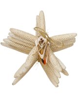 7312 - Finger Starfish Bundle w/ Cut Shell WHT 6pc 4-6"