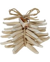 7315 - Finger Starfish Bundle w/ Cut Shell WHT 8pc 2-4"