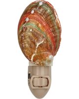754202 - Abalone LED Night Light
