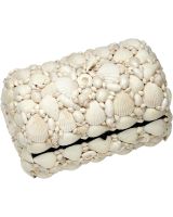 8177 - White Shell Treasure Box 10x6.5x5"