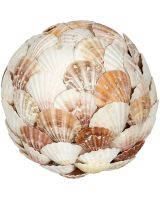 830306 - Mixed Scallop Shell Flat Orb 6"