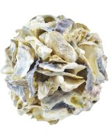 8361 - Oyster Shell Orb 6"
