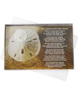 9013 - Boxed Legend of the Sand Dollar (We do not replace or credit any broken Sand Dollars)