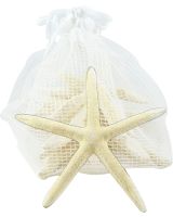 9032 - 10 White Finger Starfish Pack