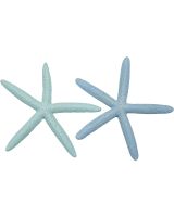 9091 - Dyed Pastel Finger Starfish 6-8"