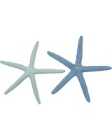 9094 - Dyed Pastel Finger Starfish 2-4"