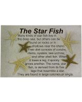 9128 - Legend of the Sea Star Post Card