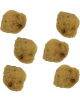 9159 - Bleached Sponge 1.5-2"