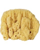 9503 - Curio Mix Sponge 7-9"