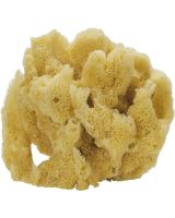 9504 - Curio Mix Sponge 5-7"