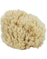 9525 - Sea Wool Cut Sponge 3-3.5"