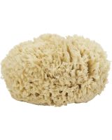 9526 - Sea Wool Form Sponge 5-6"
