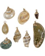 1600L - Gold Trimmed Shell Pendant