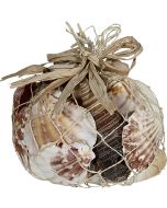 2019 - Abaca Net 350g Shell Pack