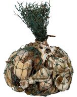 2022 - 1kg Natural Shells in Blue Trawler Net