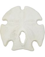 3074 - Mexican Arrowhead Sand Dollar 3-4"