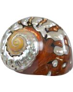 3303L - South African Turbo 3-3.5"