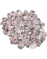3426L - Barnacle Cluster Glued 9-12" (We do not replace or credit any broken Barnacles)