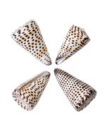 3969S - Lettered Cone 2-3"