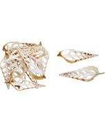 3986 - Indian Tibia Center Cut Shell 4-5"