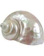 4291SP - Great Green Turbo Pearled 3-4"