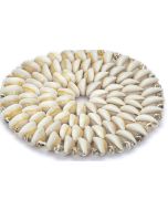 4495S - Cowrie Placemat 6"
