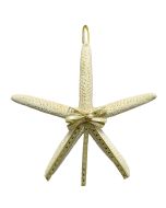 6020 - Gold Bow White Finger Starfish Ornament 4-6"